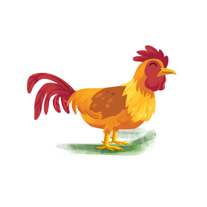 galo de cor laranja, marrom, amarela e vermelho