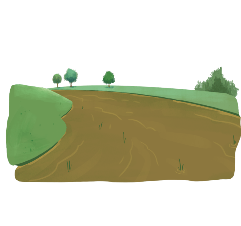 imagem de um rio de água marrom e vegetação ao redor