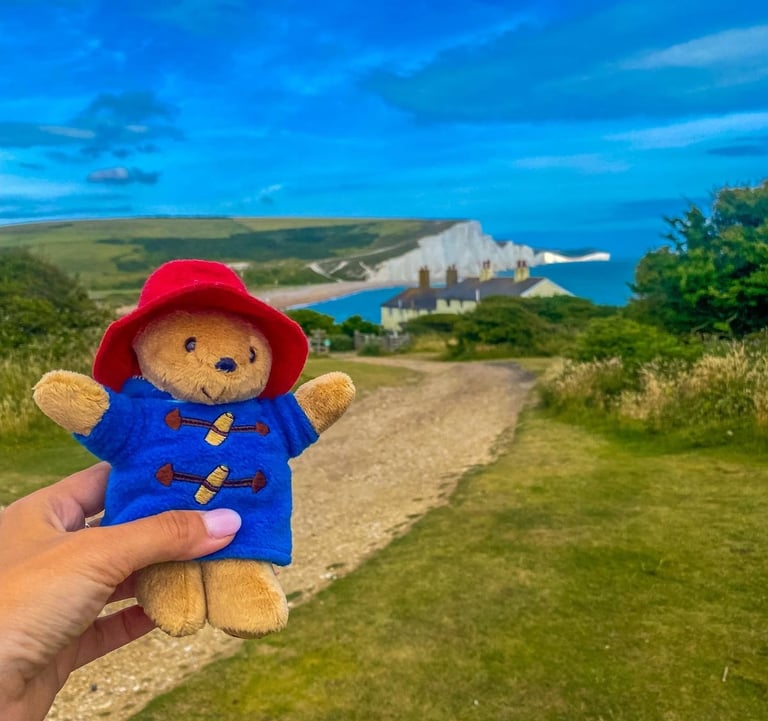 a person holding a teddy bear in a field