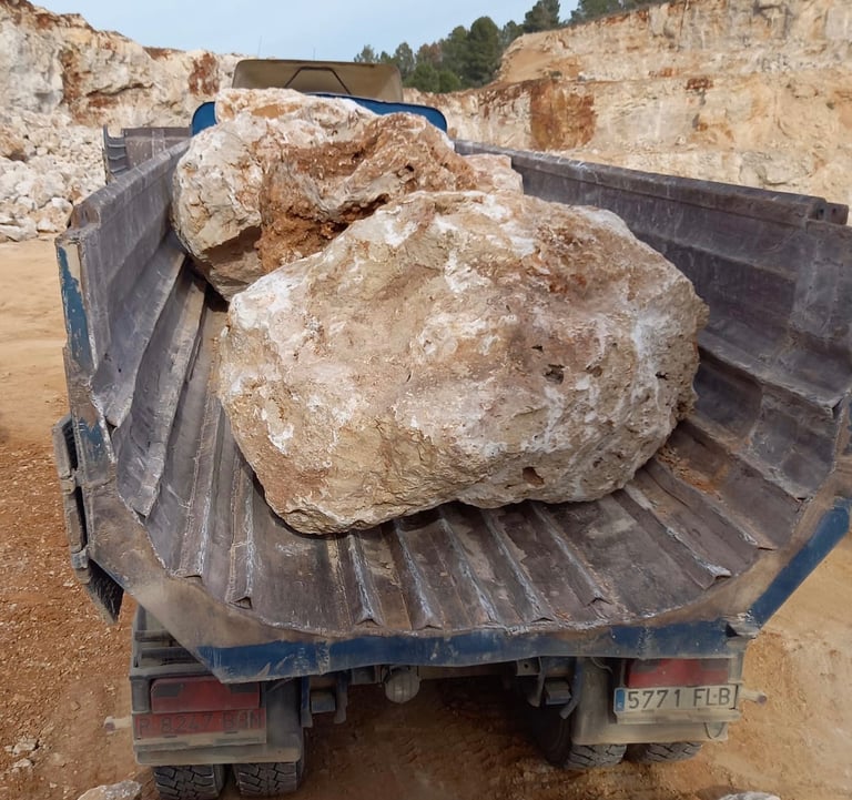 transporte escollera valencia