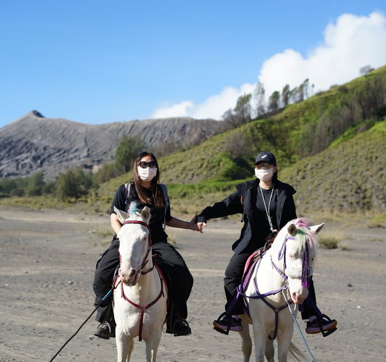 Rent horse in Bromo if you would like enjoy panorama