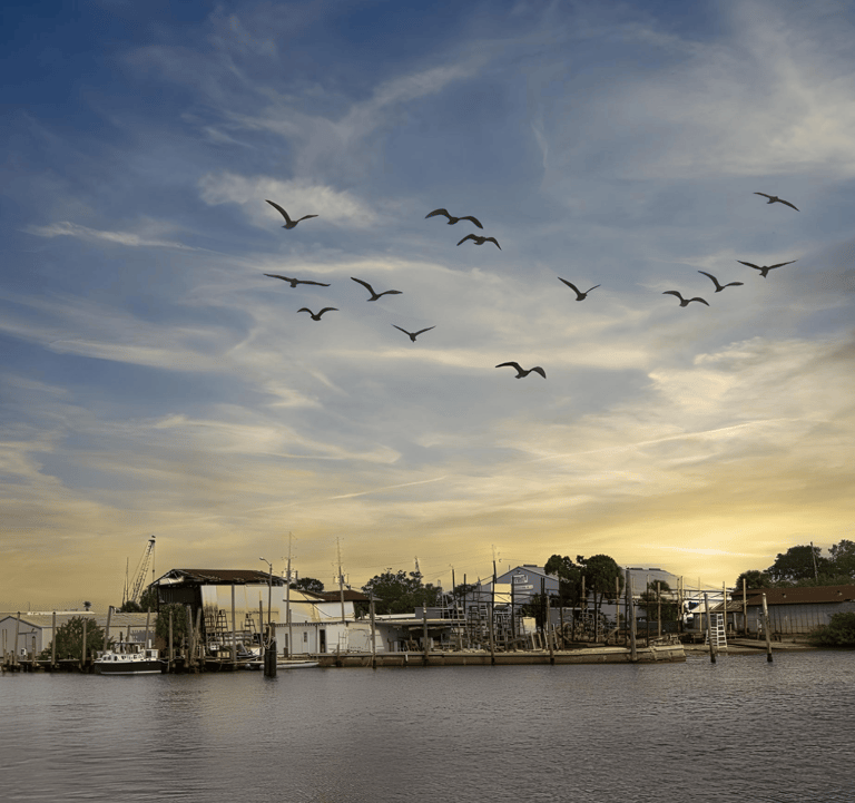 Tarpon Springs Sponge Docks, Visit The The Nature Coast