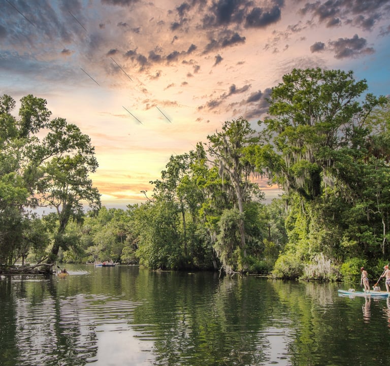 Chassahowitzka River, kayaking on the Chassahowitzka, florida's nature coast