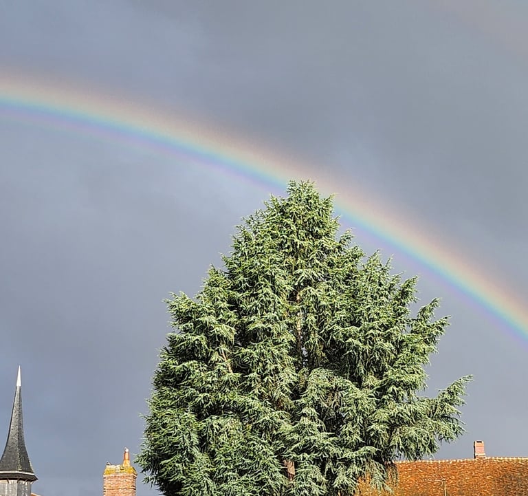 Arc en ciel : voir les couleurs dans un ciel sombre, voir le beau dans notre environnement.