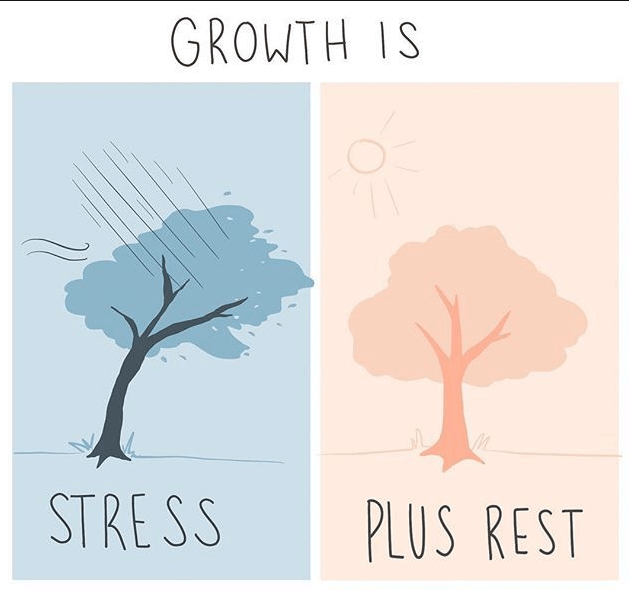 formulė nuosekliam ir ilgalaikiam augimui