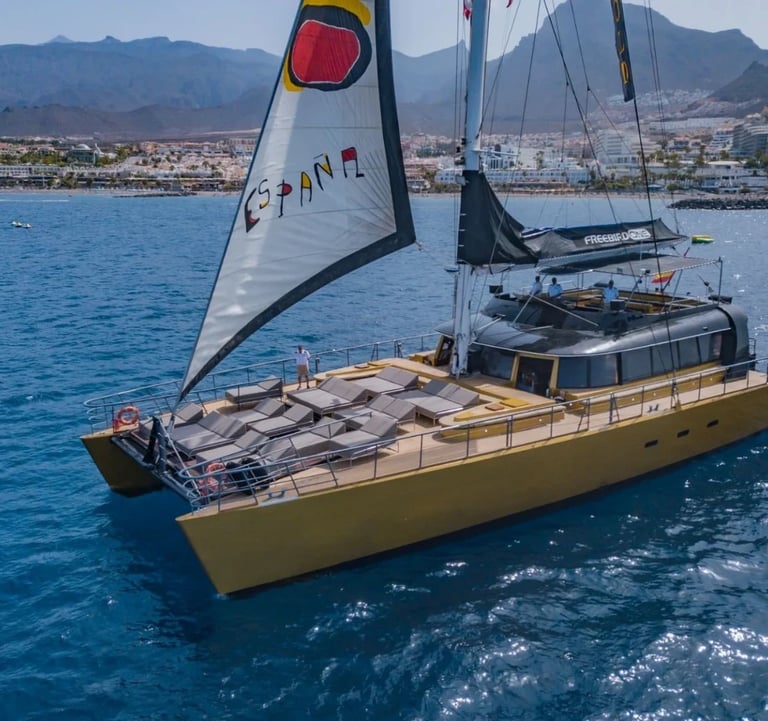 a sailboat in the water with a mountain in the background