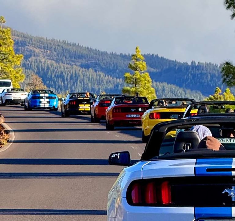 a group of people in a convertible car driving down a road