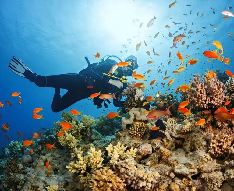 a person in a scuba suit and scuba gear
