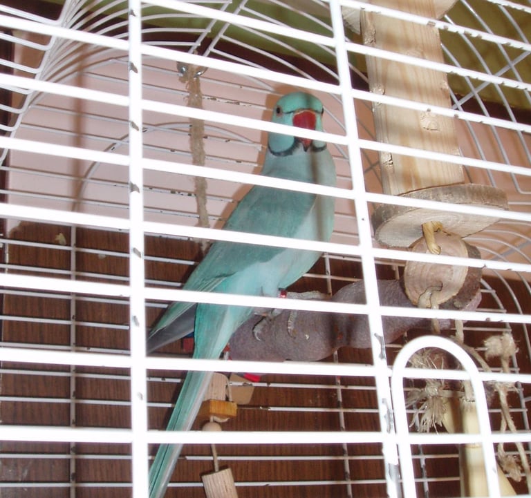 Hotel za kućne ljubimce Zagrebački duhek