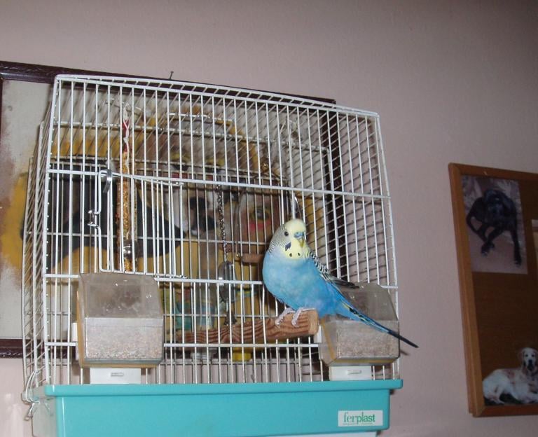 Hotel za kućne ljubimce Zagrebački duhek