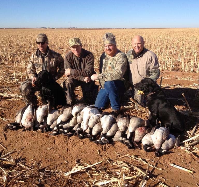 Four hunters and two black labs with a successful harvest of geese in a Texas Panhandle corn field.