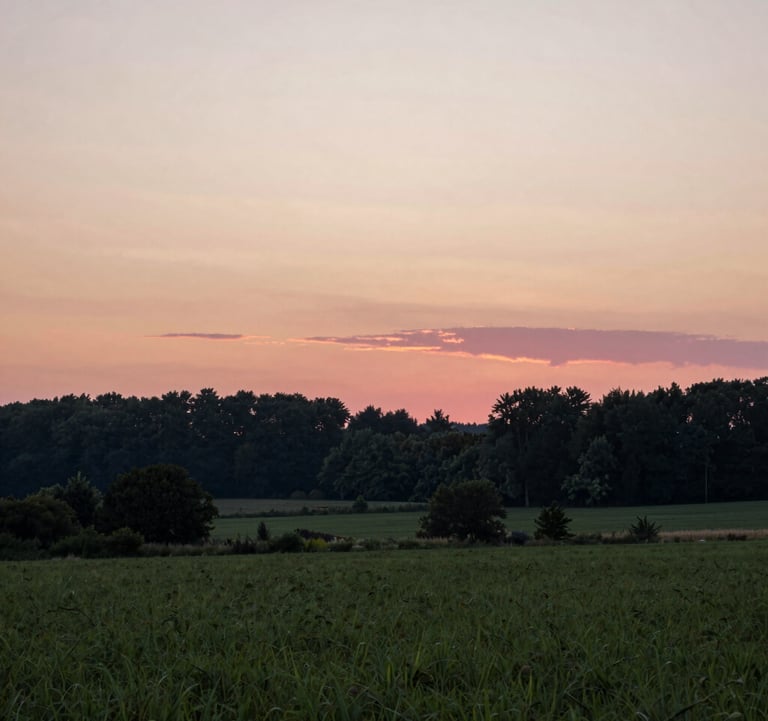 An outdoor photography shot of a serene natural landscape in Western European / French countryside at sunset. The sky has hues of warm beige and soft pink, with dark forest green silhouettes of trees providing a peaceful backdrop.