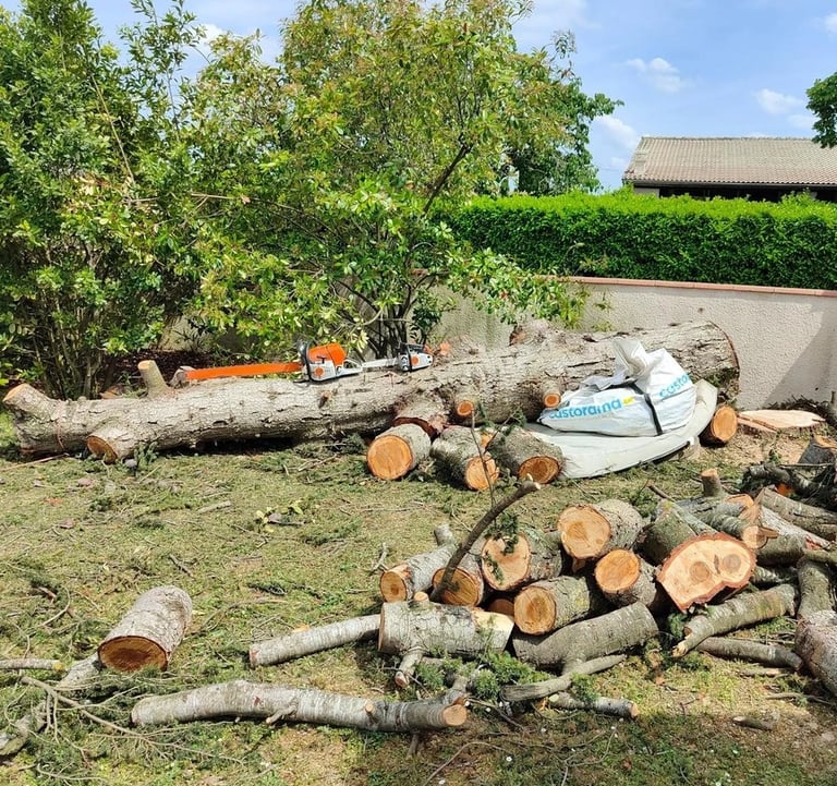 Un tronc d'arbre élagué, abattu et posé au sol