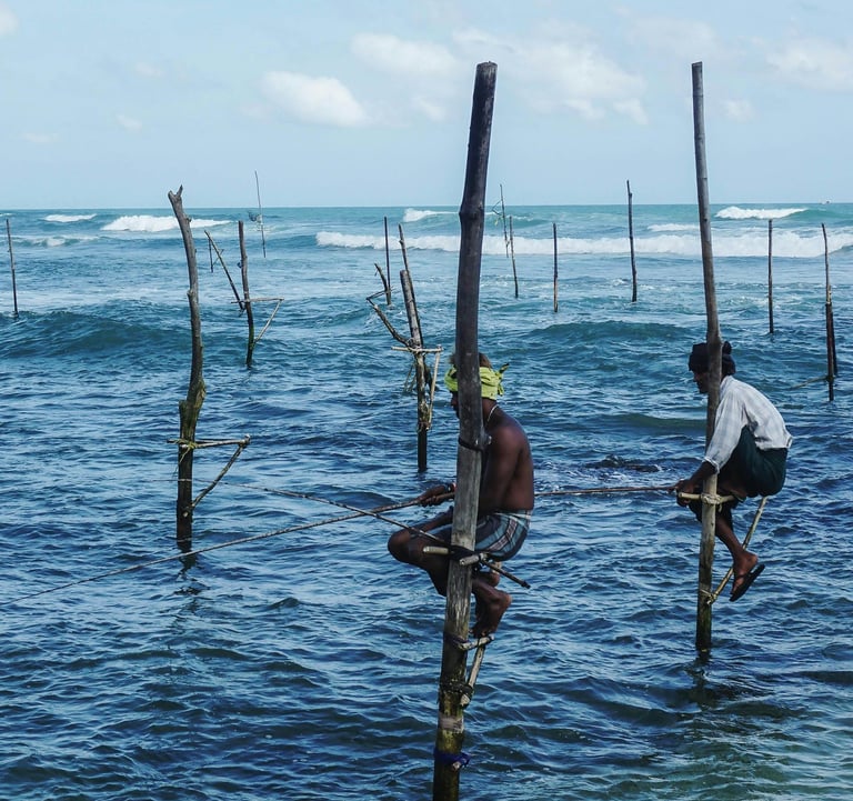 stilt fishing sri lanka