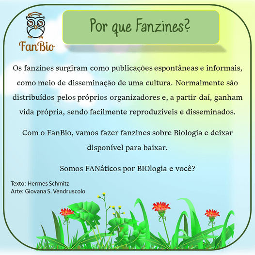 Os fanzines são publicações espontâneas e informais, distribuídos pelos próprios organizadores.