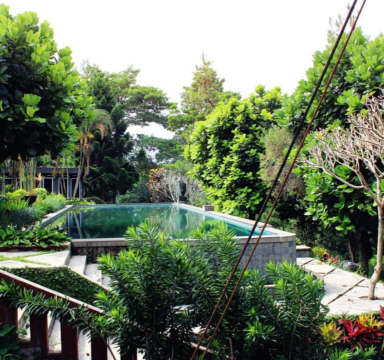 Penginapan at Griya Sawah Lega - Hotel Bungalow Resort Puncak Cisarua Bogor