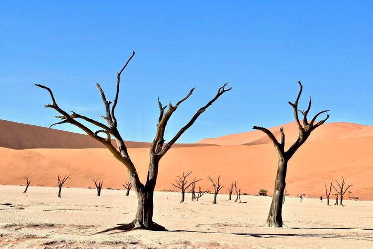 Sossusvlei