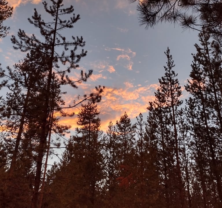 a sunset sky with clouds and trees in the background