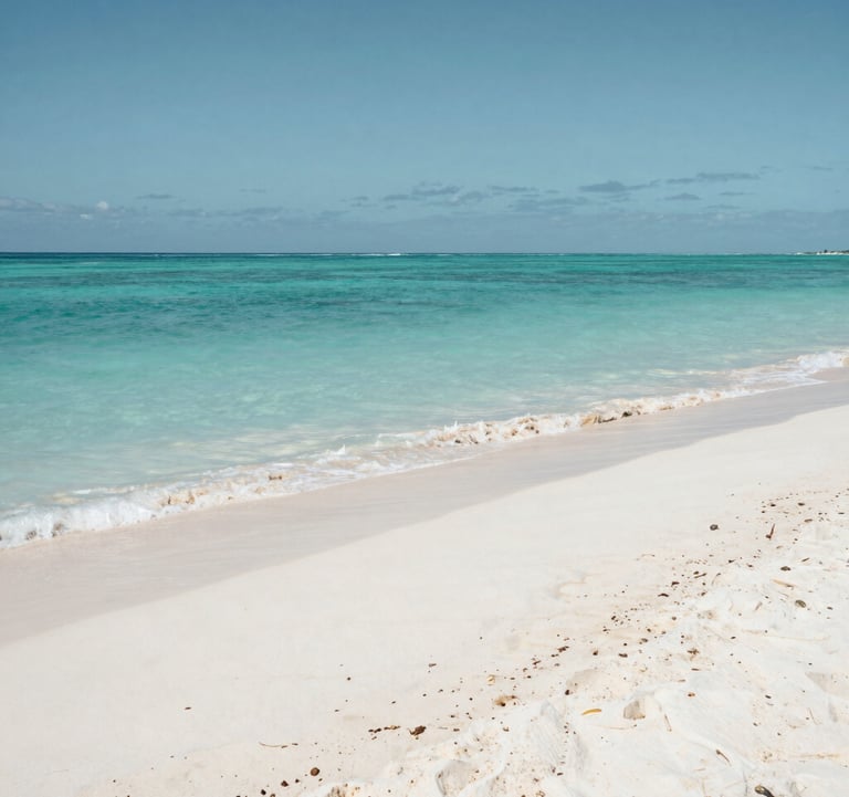 A serene photograph of a pristine white sand beach at a tropical North American destination, with turquoise water and a clear horizon, captured in soft professional lighting.