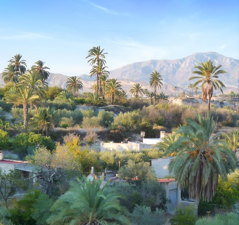 Typical landscape of the Abanilla area.