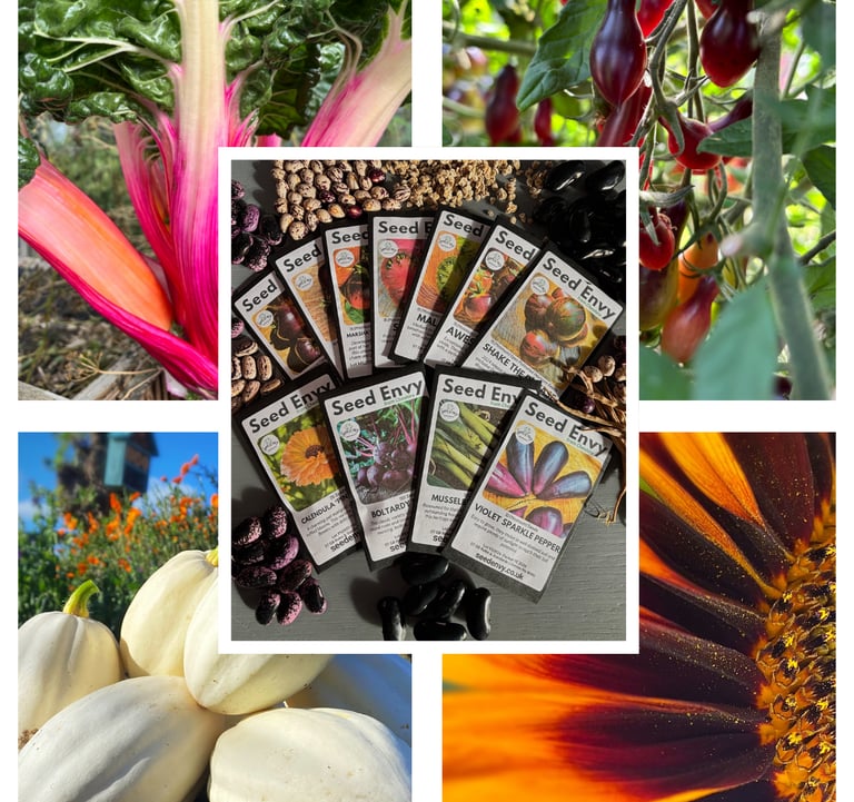 SEED GIFTS FROM SEED ENVY