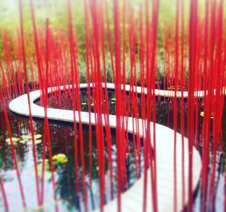 chemin humaniste / hypnose humaniste