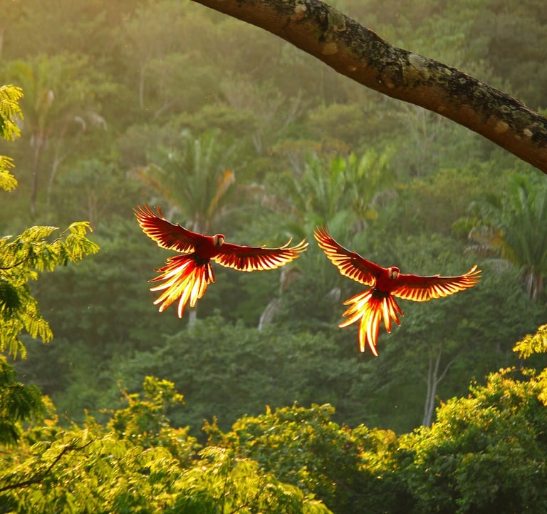 destinations_inspirantes