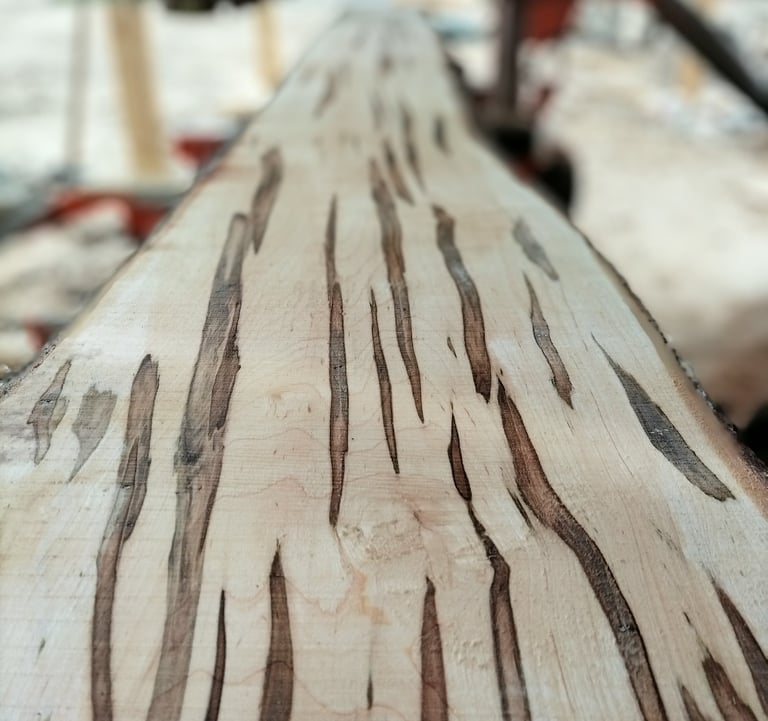 Ambrosia Maple
