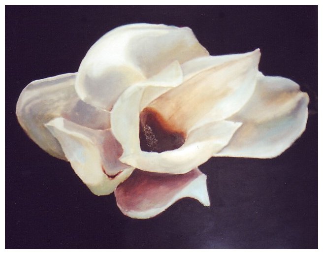 wojnowski floral architecture