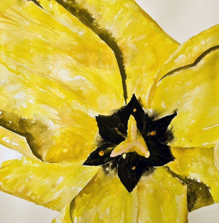 wojnowski floral architecture