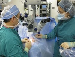 Services and specialties in eye surgery.