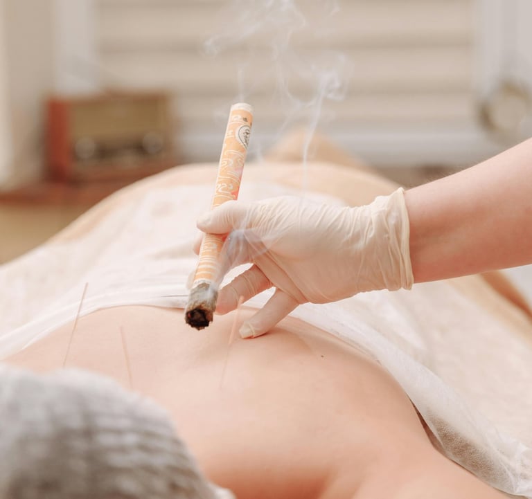 Medicina Tradicional Chinesa