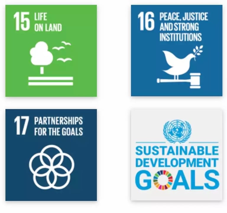 TreeAndHumanKnot presents Sustainable Internship Program (SIP) first of it's kind summer internship