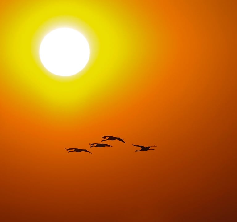 Dawn Break