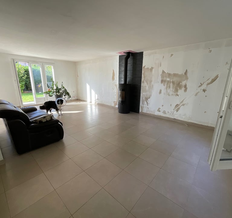 Renovation Salon Lagny-sur-Marne - avant