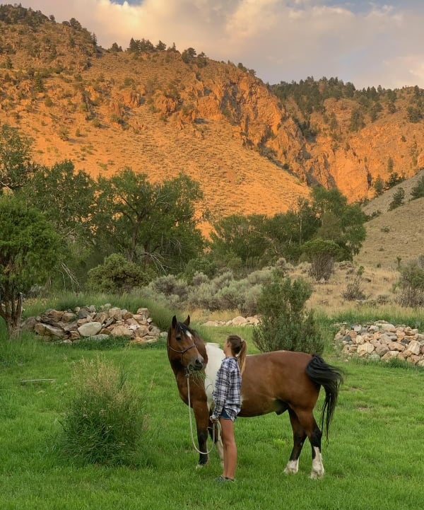 Pedro and Maggie in the back yard