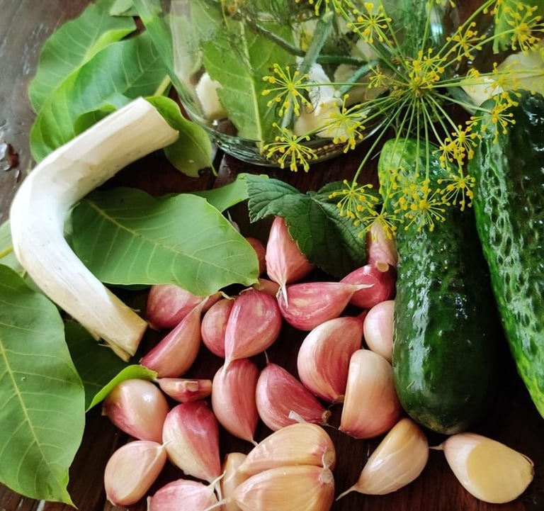 Sękiewiczówka - agroturystyka małopolska - gospodarstwo agroturystyczne dla dzieci