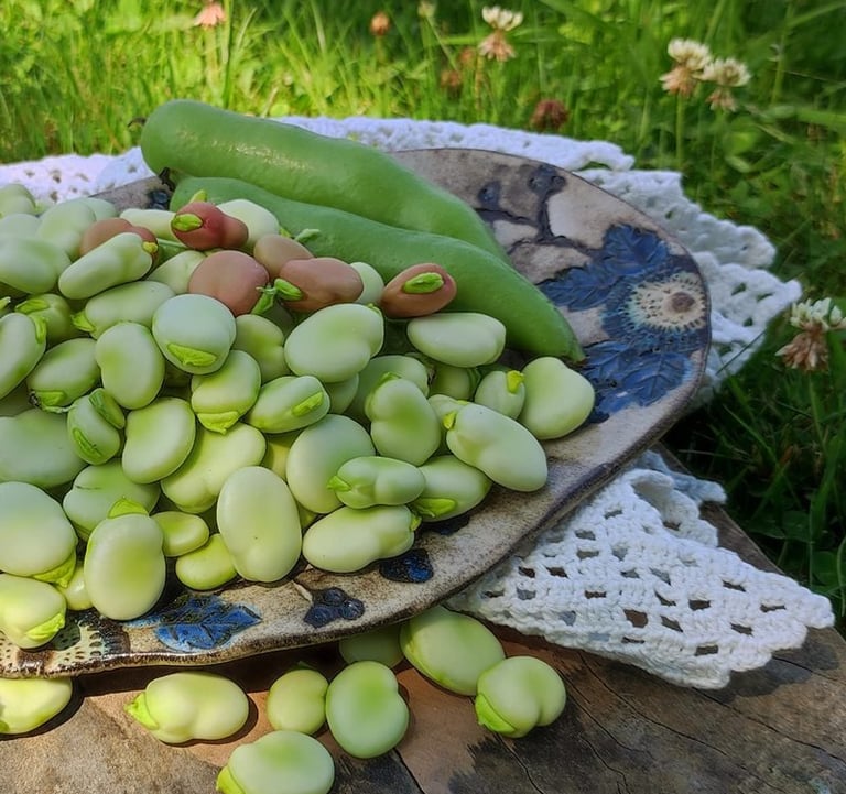 Sękiewiczówka - agroturystyka małopolska - gospodarstwo agroturystyczne dla dzieci