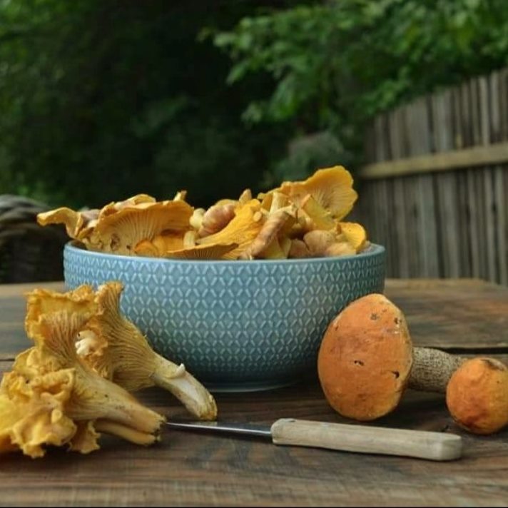 Sękiewiczówka - agroturystyka małopolska - gospodarstwo agroturystyczne dla dzieci