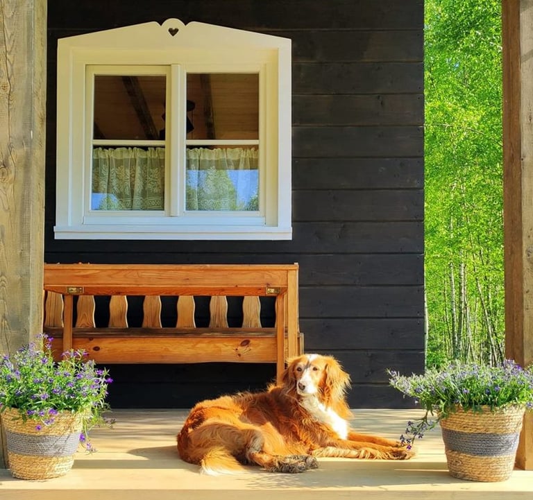 Sękiewiczówka - agroturystyka małopolska - gospodarstwo agroturystyczne dla dzieci