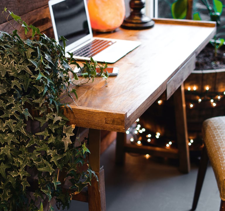 home office plantas hera