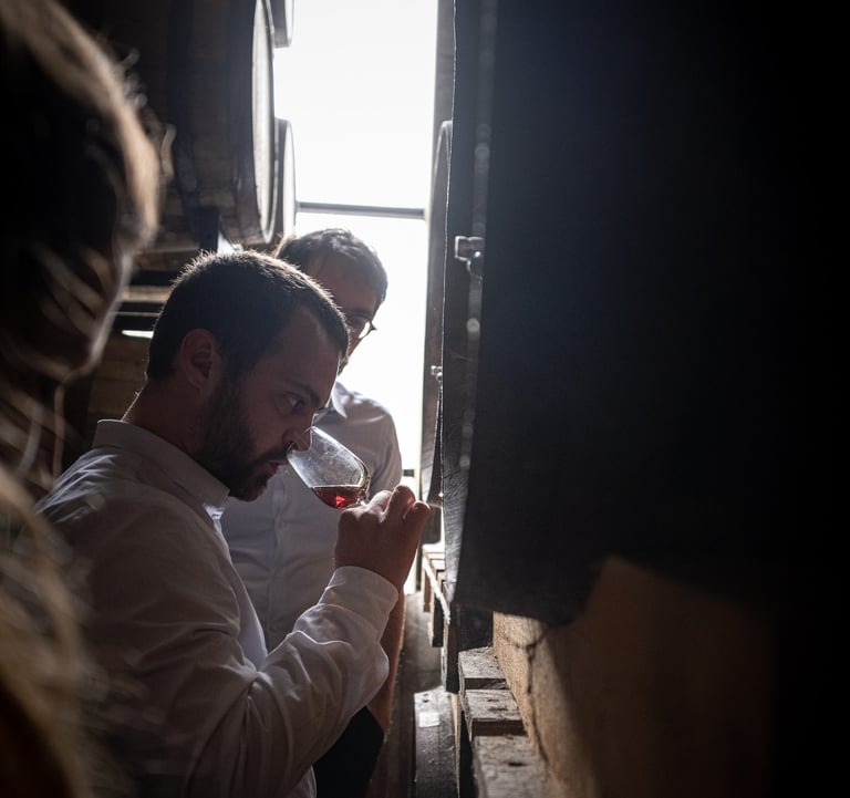 Dégustation, vieillissement de spiritueux