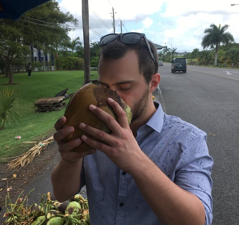 Dégustation de noix de coco fraîche sur l'île de la Barbade, berceau du rhum