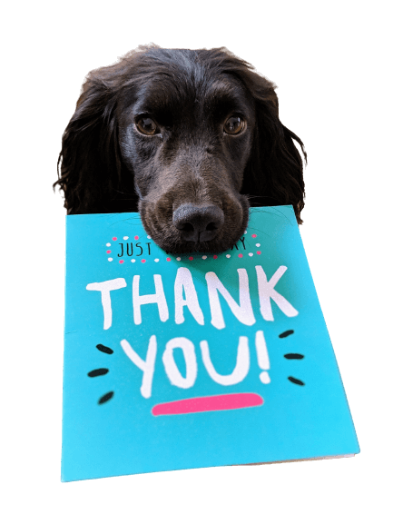 dog-thank-you