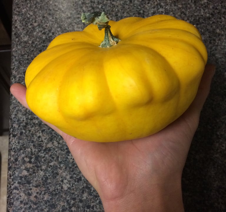 Pattypan!!