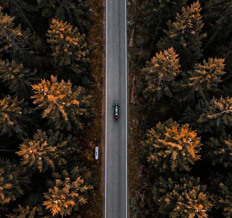 A high-angle cinematic drone shot looking straight down at a winding road through a dense forest in a Global / International mountain region. A charcoal grey motorcycle is visible on the road, creating a sense of scale and adventure, with lighting that emphasizes deep shadows and burnt orange highlights in the foliage.