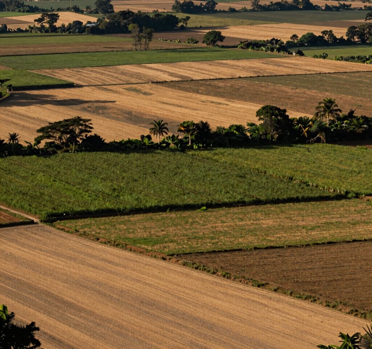 A flourishing agricultural landscape transitioning to legal, sustainable economies in a South American / Colombian region. Warm sand light bathes the fields, suggesting resilience and peace.
