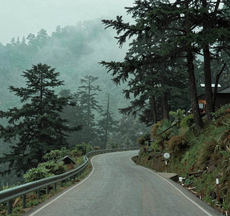 A serene view of a mountain road winding through cedar forests in Shimla, misty atmosphere, South Asian / Indian hill station charm, soft sage green and aqua tones in the lighting.