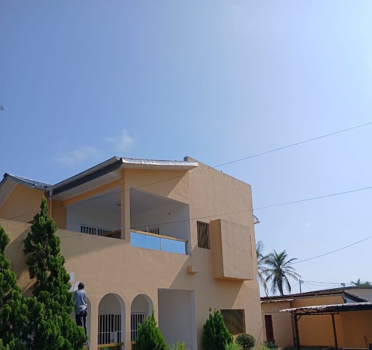 a man is painting a house with a ladder