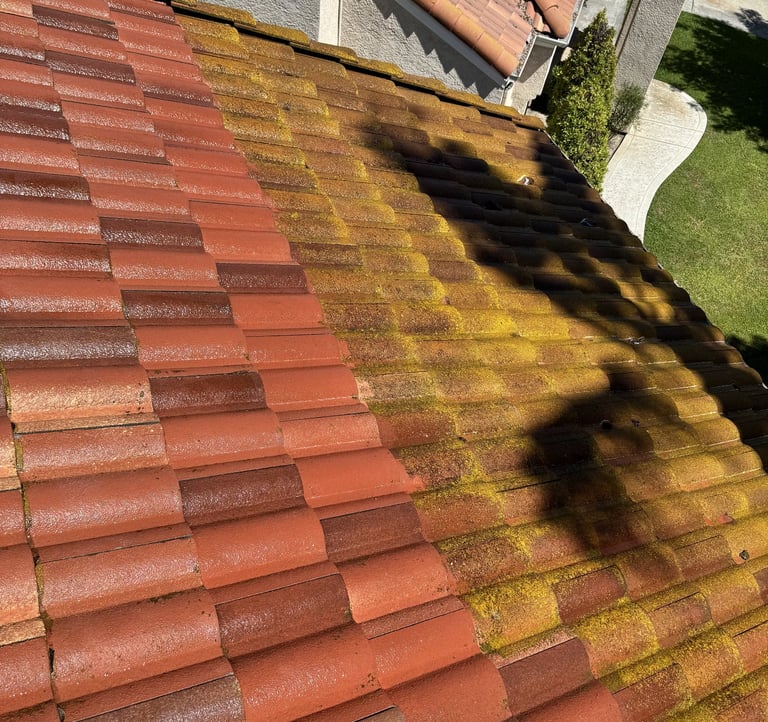 Roof cleaning before and after—removal of moss and buildup in Fresno CA by Spartan Home Services